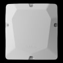 Case D (430)