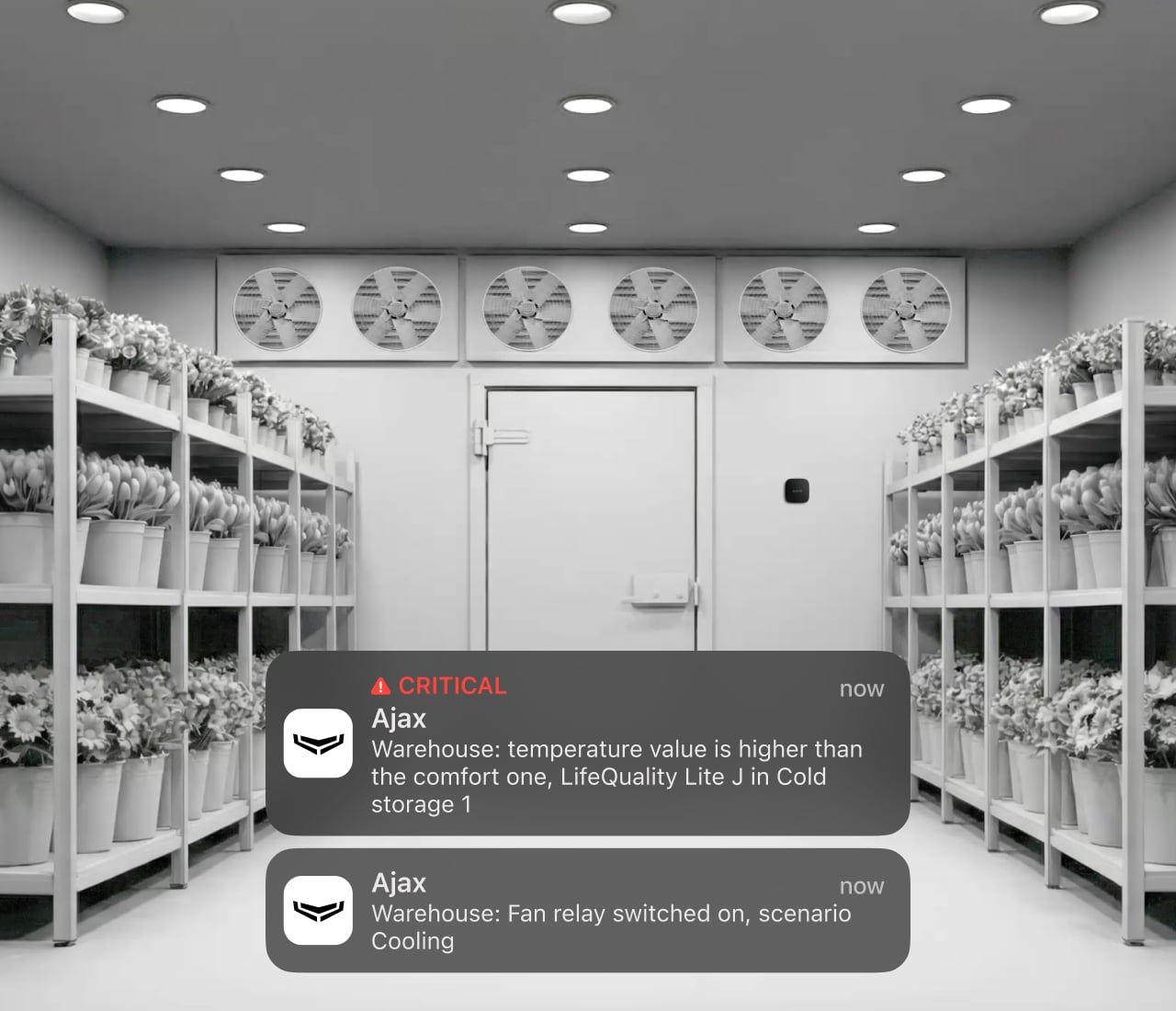Push notifikace