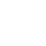 OS Malevich