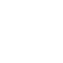 OS Malevich