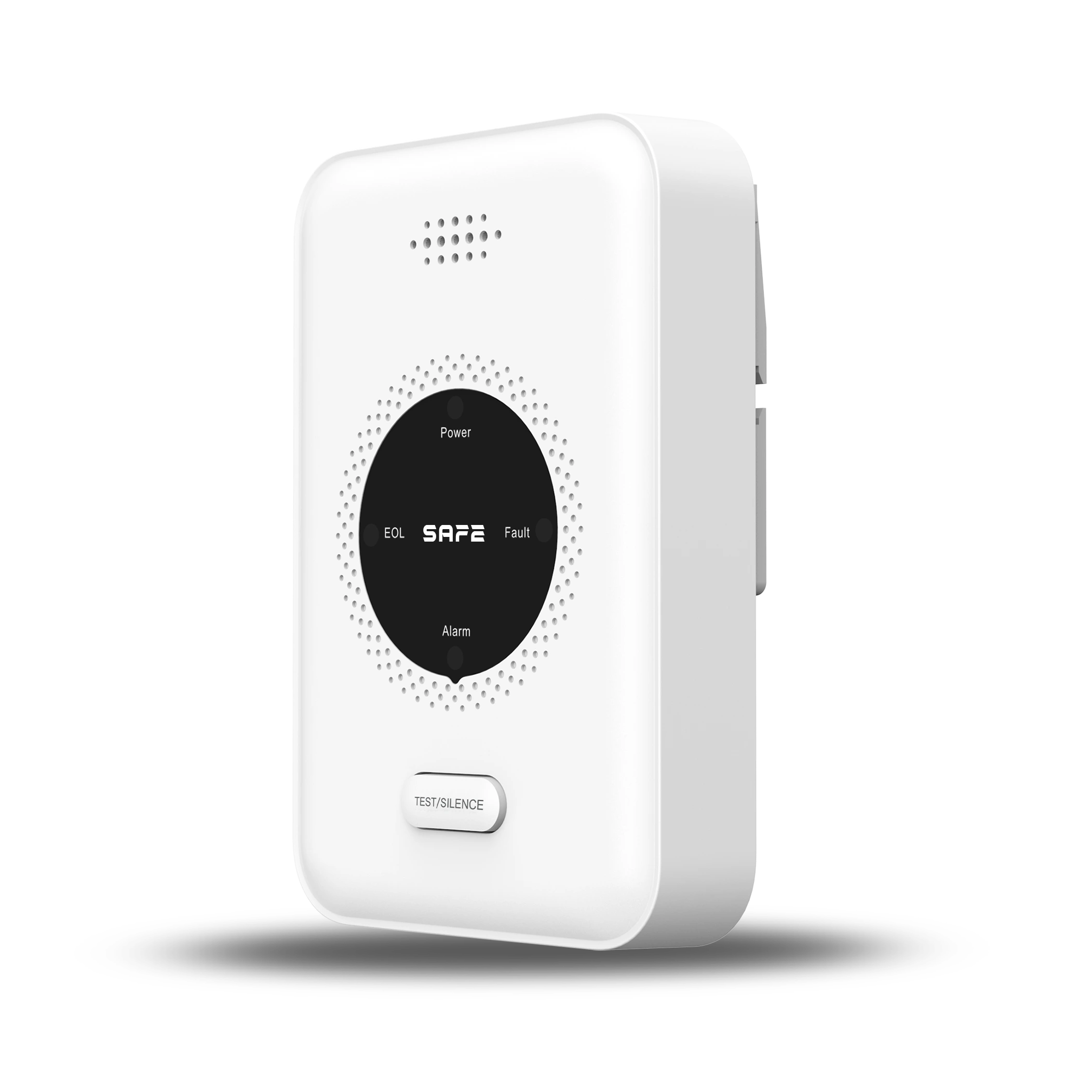 SAFE 5YGAS - RF